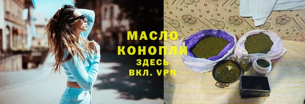 индика Аркадак