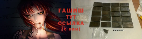 индика Аркадак