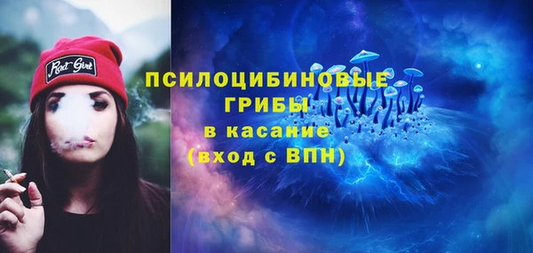прущие крисы Арсеньев