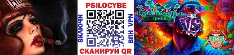 Псилоцибиновые грибы Psilocybine cubensis  Купить где  Кологрив 